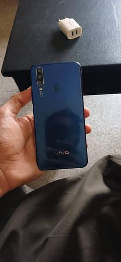 Vivo