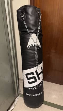 Shark