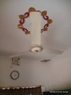 pak fan