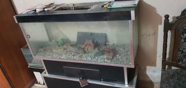 4 feet Aquarium, back glass crack h. .