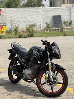 Ybr