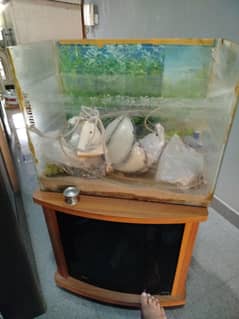fish aquarium with trolley