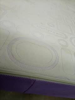 molty orthopadic Mattress