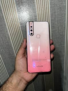 vivo