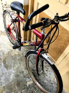 26 size Mazbot baike