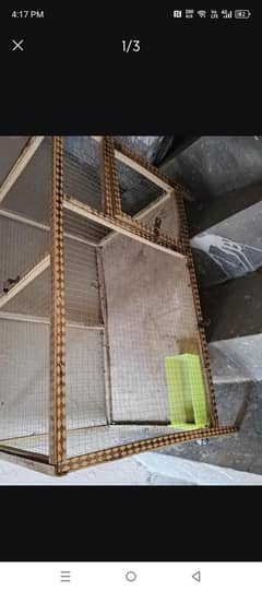 Hens and birds cage