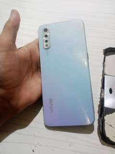 vivo