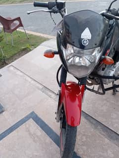 Yamaha YBR 125 2020