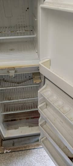 dawlancr fridge medium size