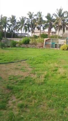 OPEN
