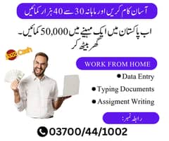 Typing job / Data Entry Job / Assignment Job / Online Job / Part Time