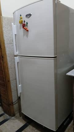 Selling Haier Refrigerator and freezer (colour:white)