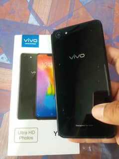 VIVO