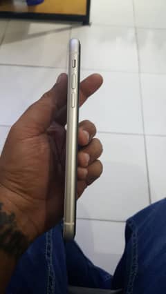 iPhone 11 dual phycial PTI