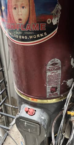 Gas geyser