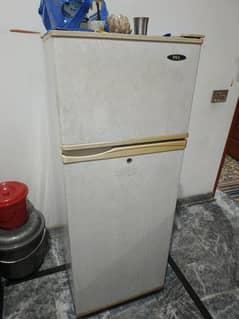 Fridge of Pel company
