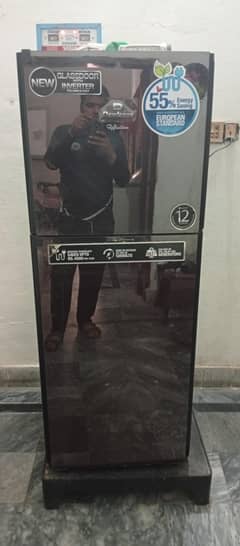 Inverter Fridge