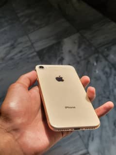 iphone 8