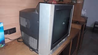 Television