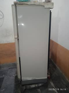 Pel Model 20145