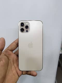 iphone 12 pro pta approved