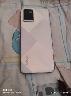 vivo