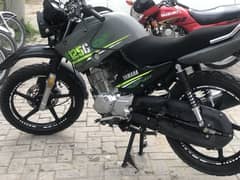 Matt Green YBR 125G All new condition