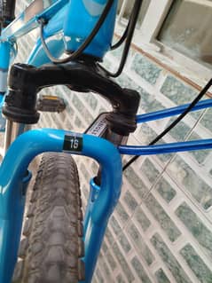 Cycle