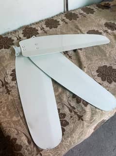 fan sell
