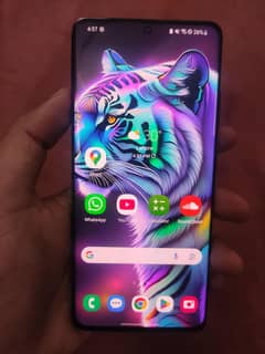 s21 ultra 256gb non pta all ok