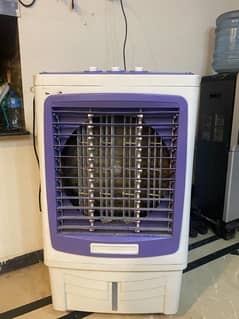 Cooler with 2 bottle ice