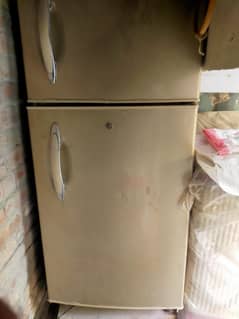 waves fridge