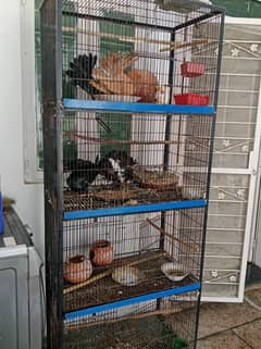 Bird cage in A1 condition