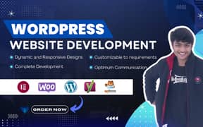 WordPress Website Development | E-commerce | Landing Page | Business