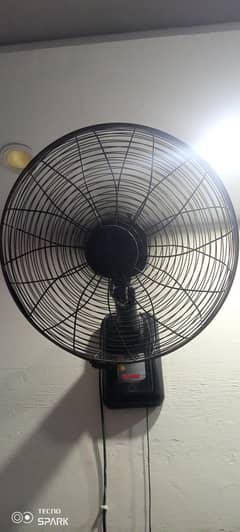 Royal Fans For sale
