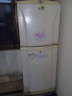 Medium size fridge