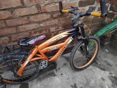 cycle