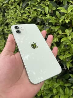 iPhone 12 Pta approved