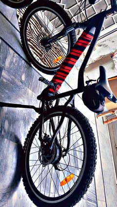 electric bicycle.