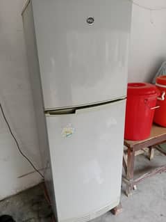 pel fridge for sale