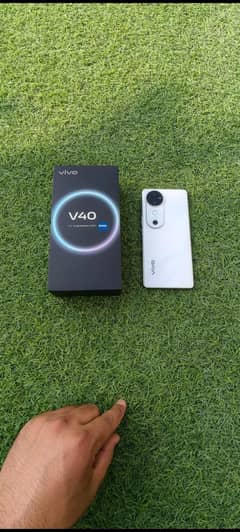 vivo