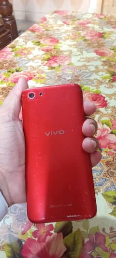 vivo