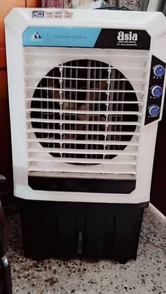12 Volt room cooler