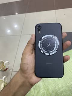 iPhone XR