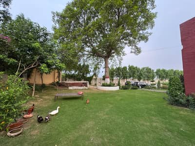 Farm House & small pool for Rent