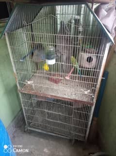 Cage with 2 portions