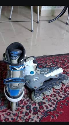 Skating Shoes