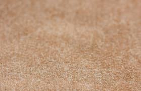 light brown colour  master bedroom