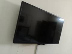 LED