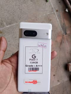 Google Pixel 7 Official PTA approved